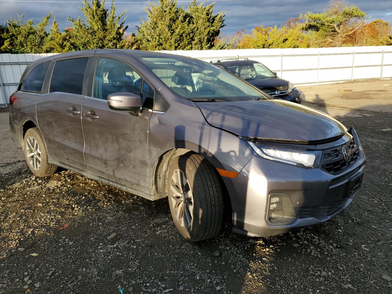 Lot #3311700219 2025 HONDA ODYSSEY EX