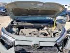 Lot #3305501069 2023 TOYOTA RAV4 XLE P