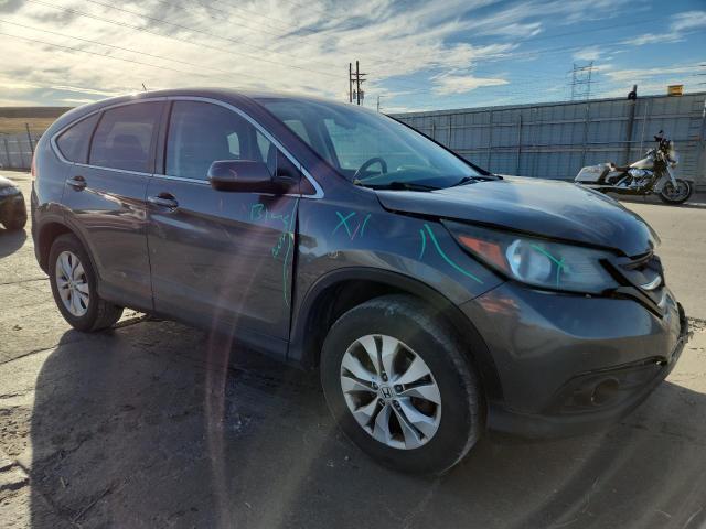 2014 HONDA CR-V EX - 2HKRM4H52EH655502