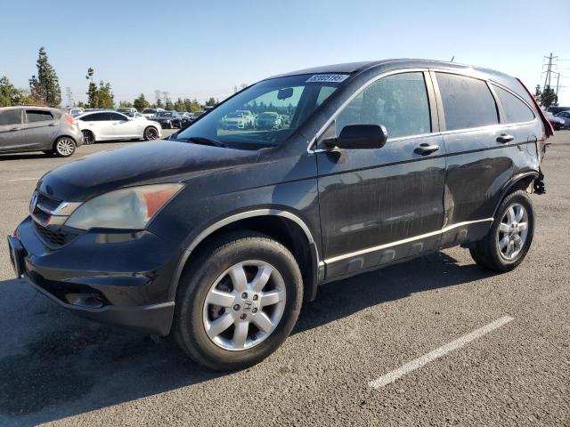 HONDA CR-V SE
