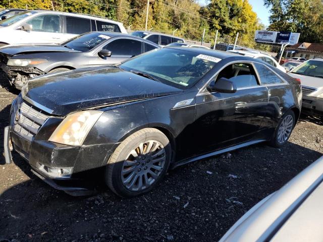 2011 CADILLAC CTS PERFOR - 1G6DK1ED3B0125481