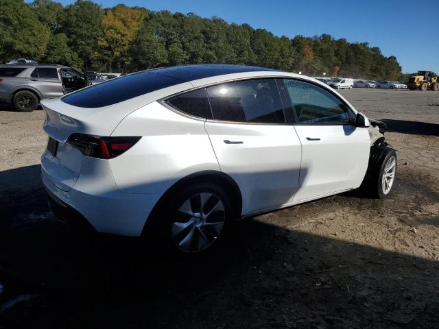 2022 TESLA MODEL Y #3283776425