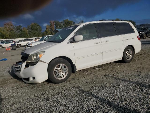 Global Auto Auctions: 2005 HONDA ODYSSEY EXL