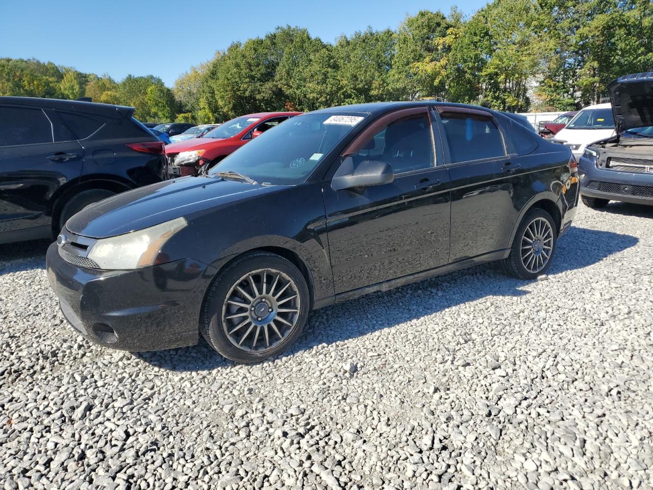 FORD FOCUS SES
