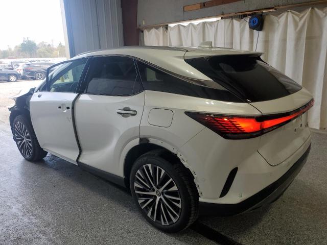 2025 LEXUS RX 350 BAS - 2T2BAMCAXSC112357