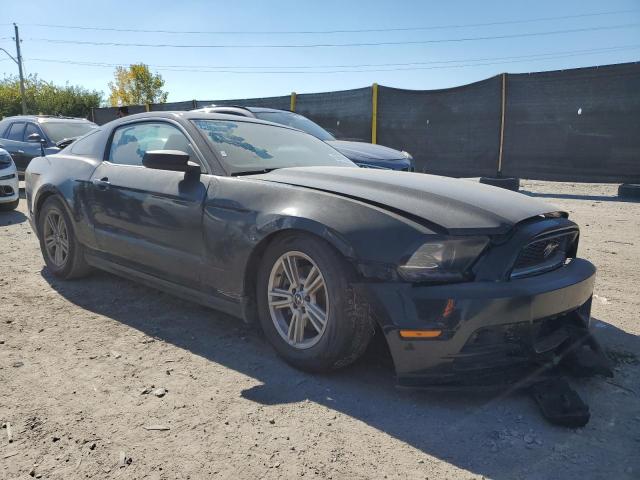 2014 FORD MUSTANG #3269012058