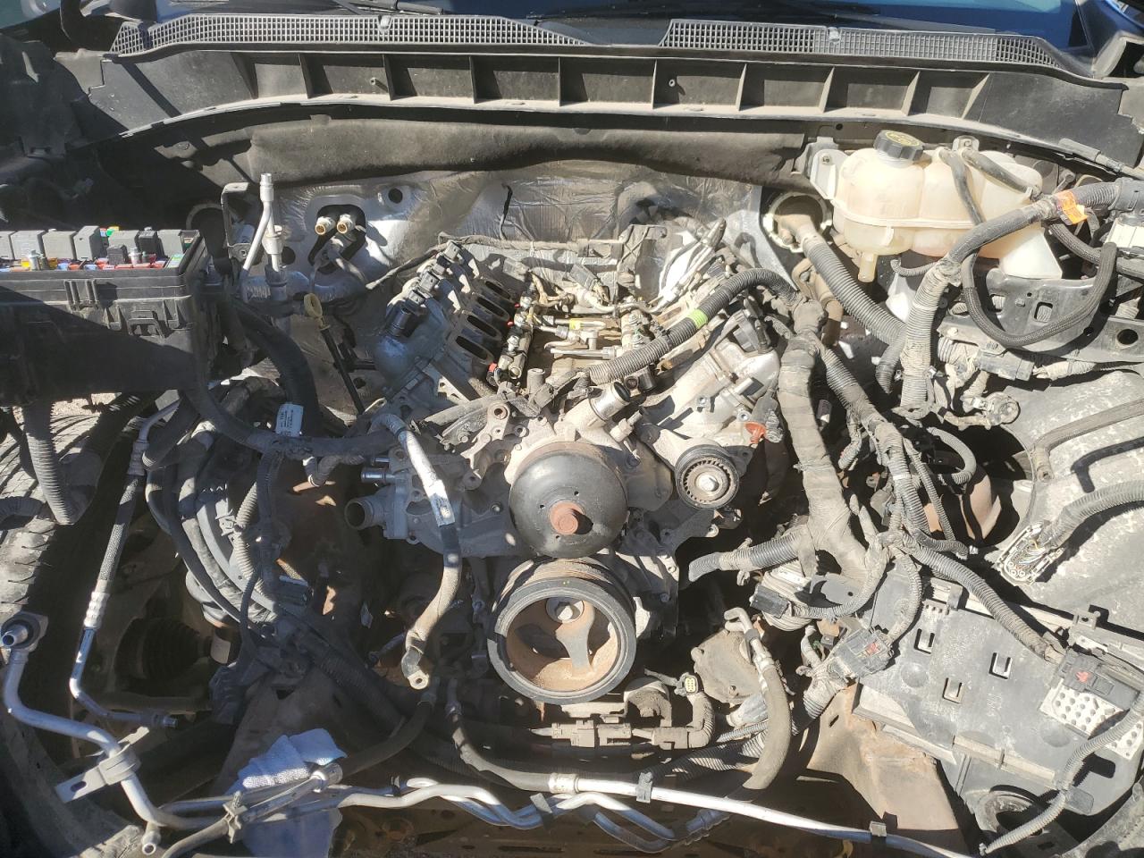 Lot #3291787561 2019 CHEVROLET SILVERADO K1500 RST