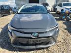 Lot #3317819205 2025 TOYOTA COROLLA LE