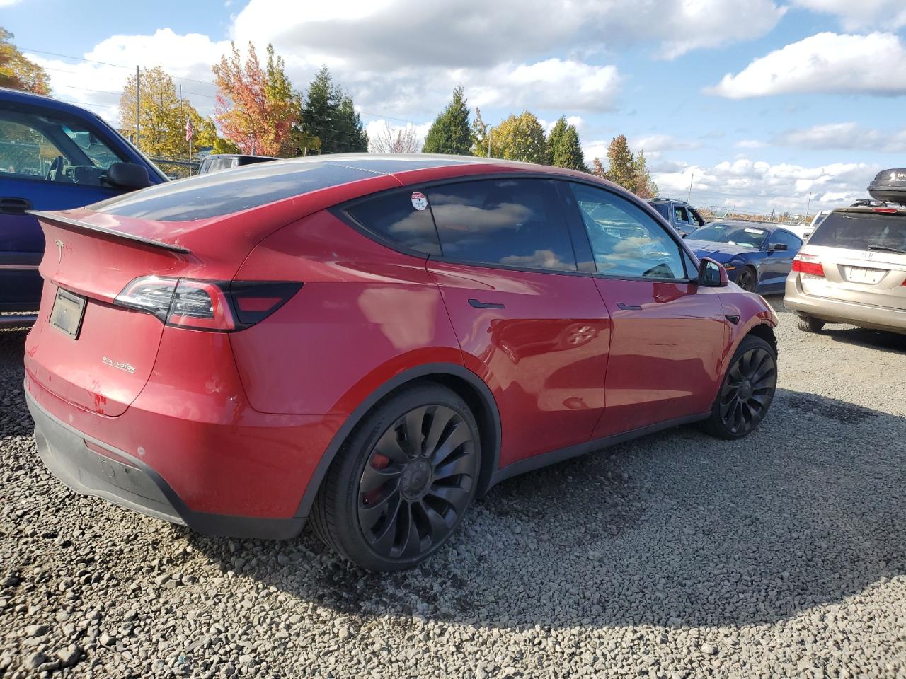 TESLA MODEL Y