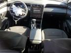 Lot #3303727436 2024 HYUNDAI TUCSON SEL