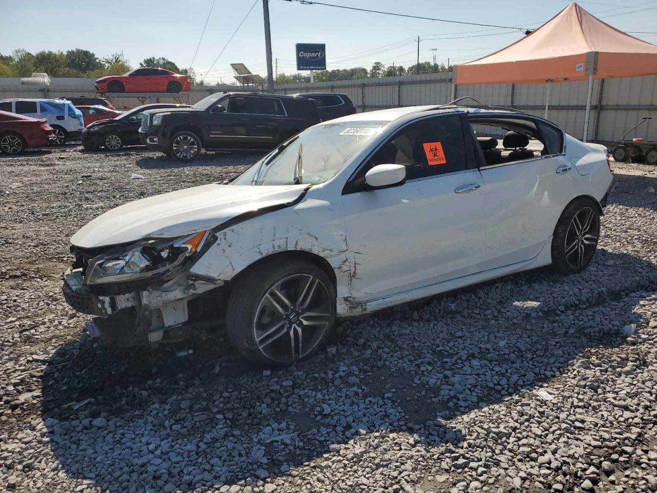 HONDA ACCORD SPORT SPECIAL EDITION