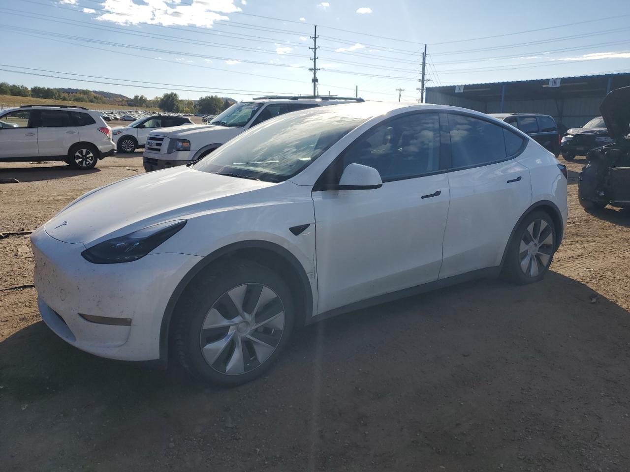Lot #3294813749 2023 TESLA MODEL Y