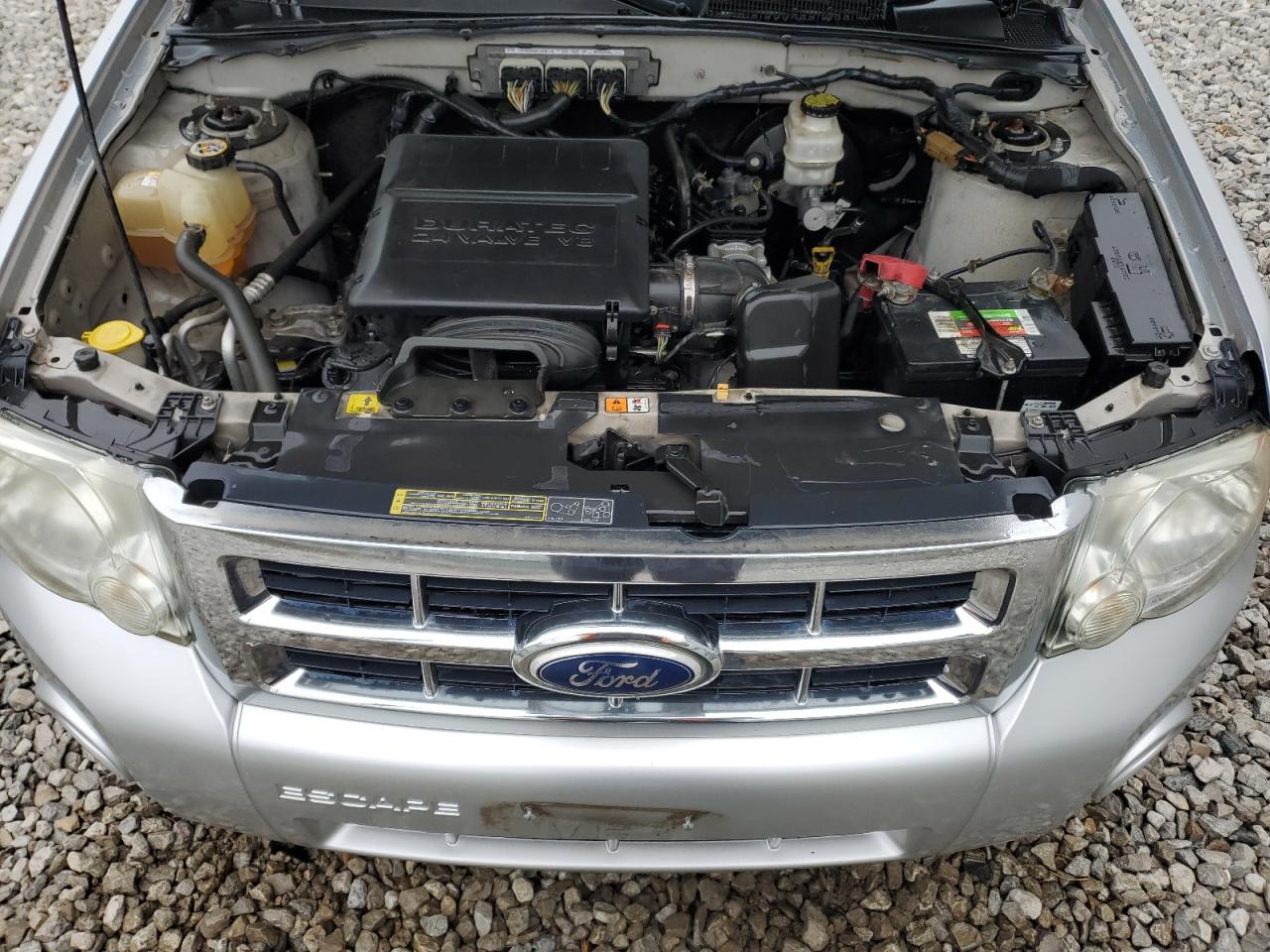 Lot #3311464267 2010 FORD ESCAPE XLT