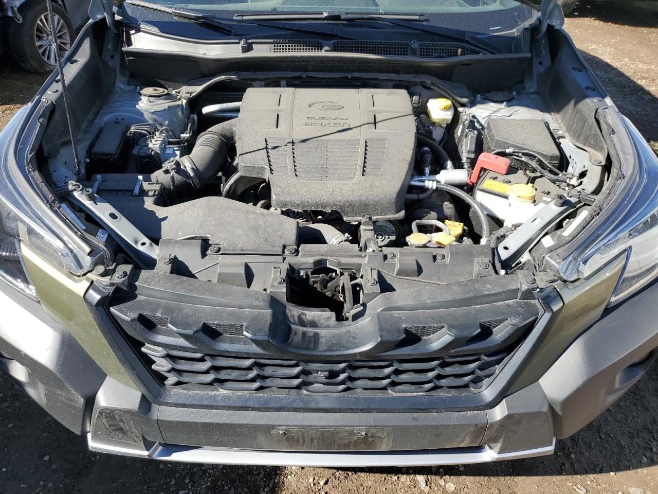 SUBARU FORESTER WILDERNESS