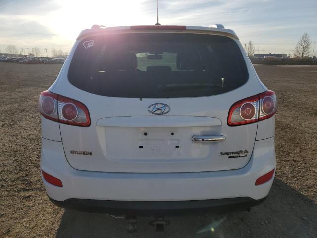 2010 HYUNDAI SANTA FE S - 5NMSHDAG7AH377091