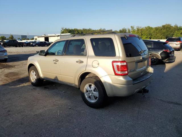 2011 FORD ESCAPE XLT - 1FMCU9D79BKB44744