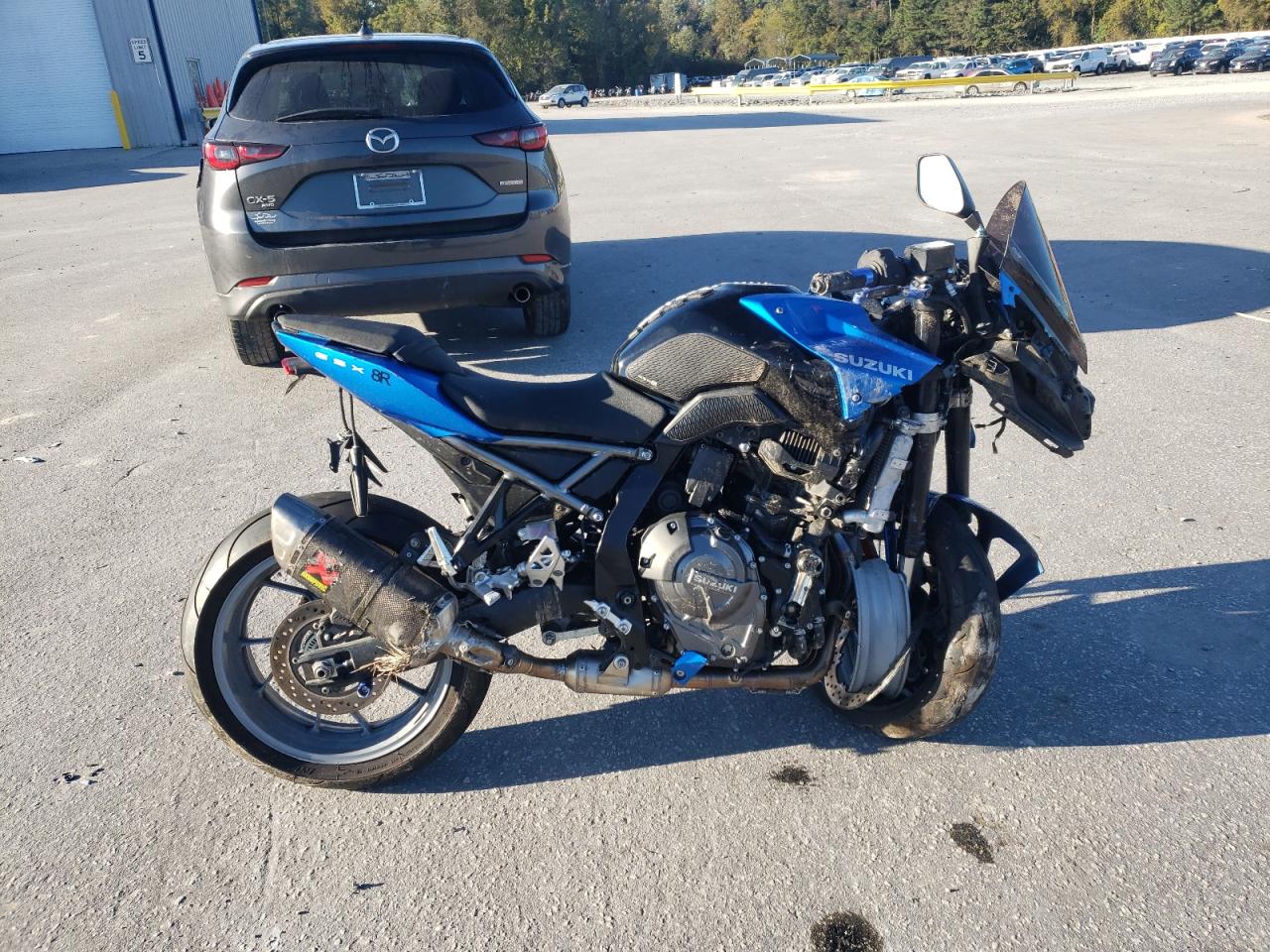 Lot #3296250516 2024 SUZUKI GSX800 F