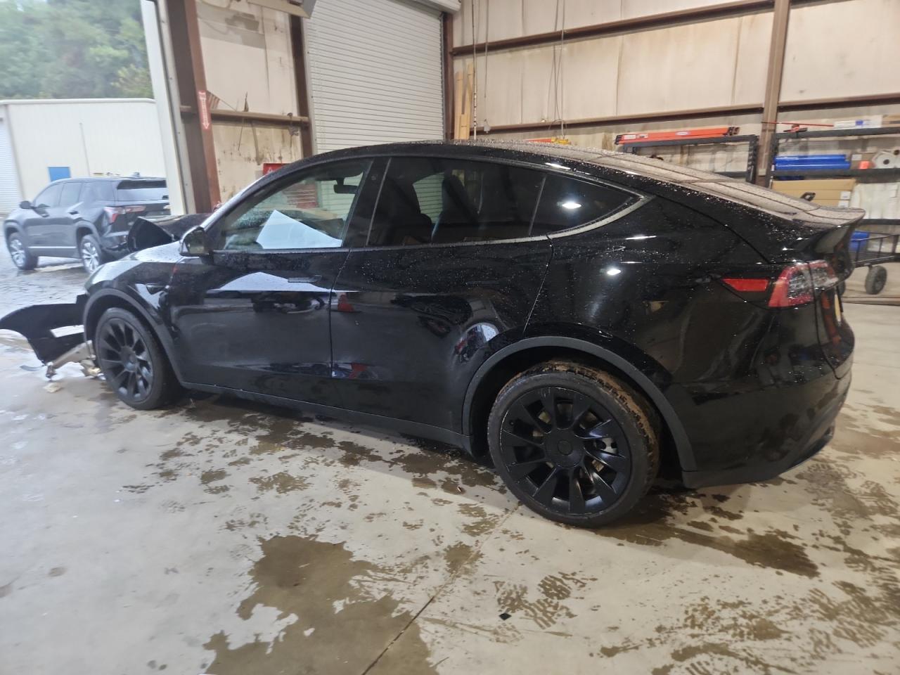 Lot #3315981115 2023 TESLA MODEL Y