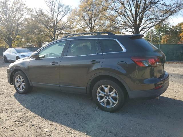 2015 MAZDA CX-9 SPORT JM3TB2BA6F0454486