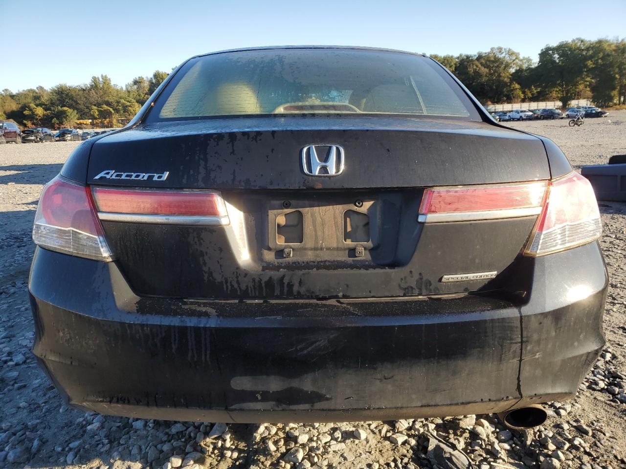 HONDA ACCORD SE