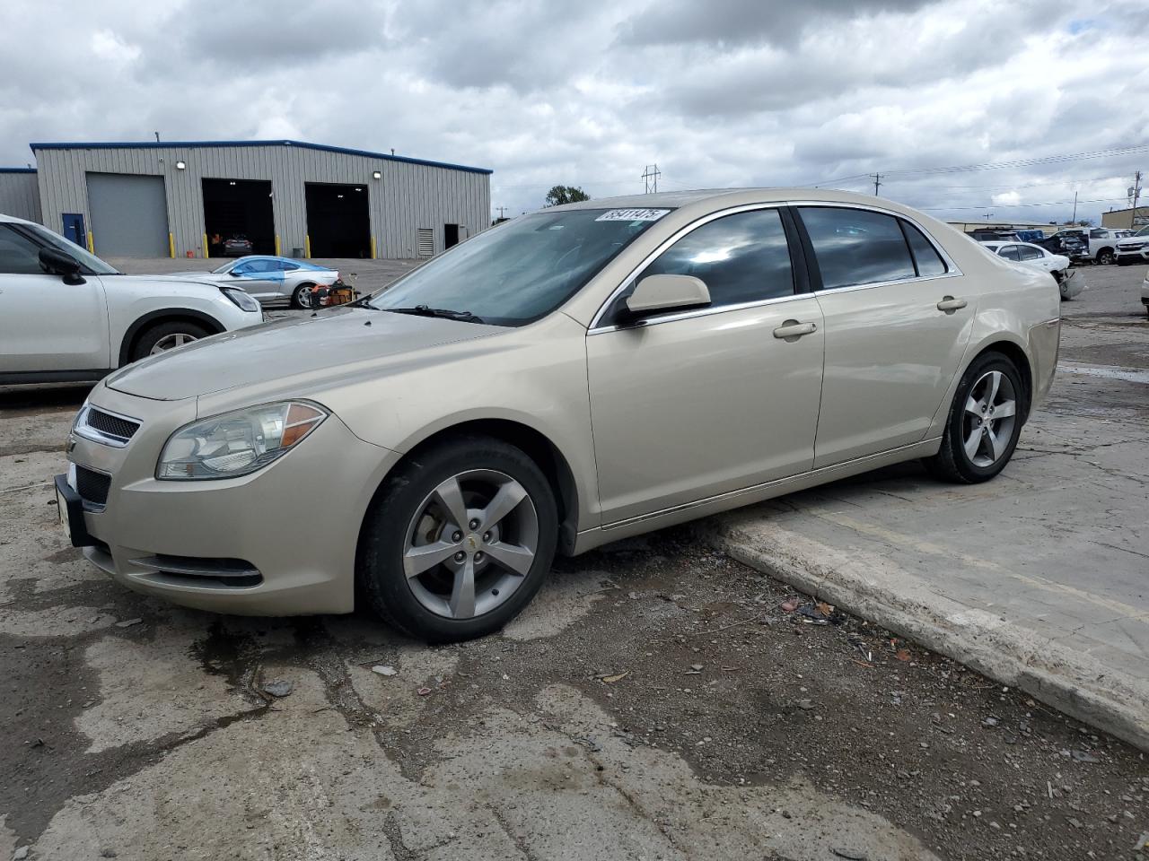 CHEVROLET MALIBU 1LT