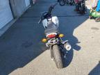 Lot #3311573266 2025 HONDA GROM 125