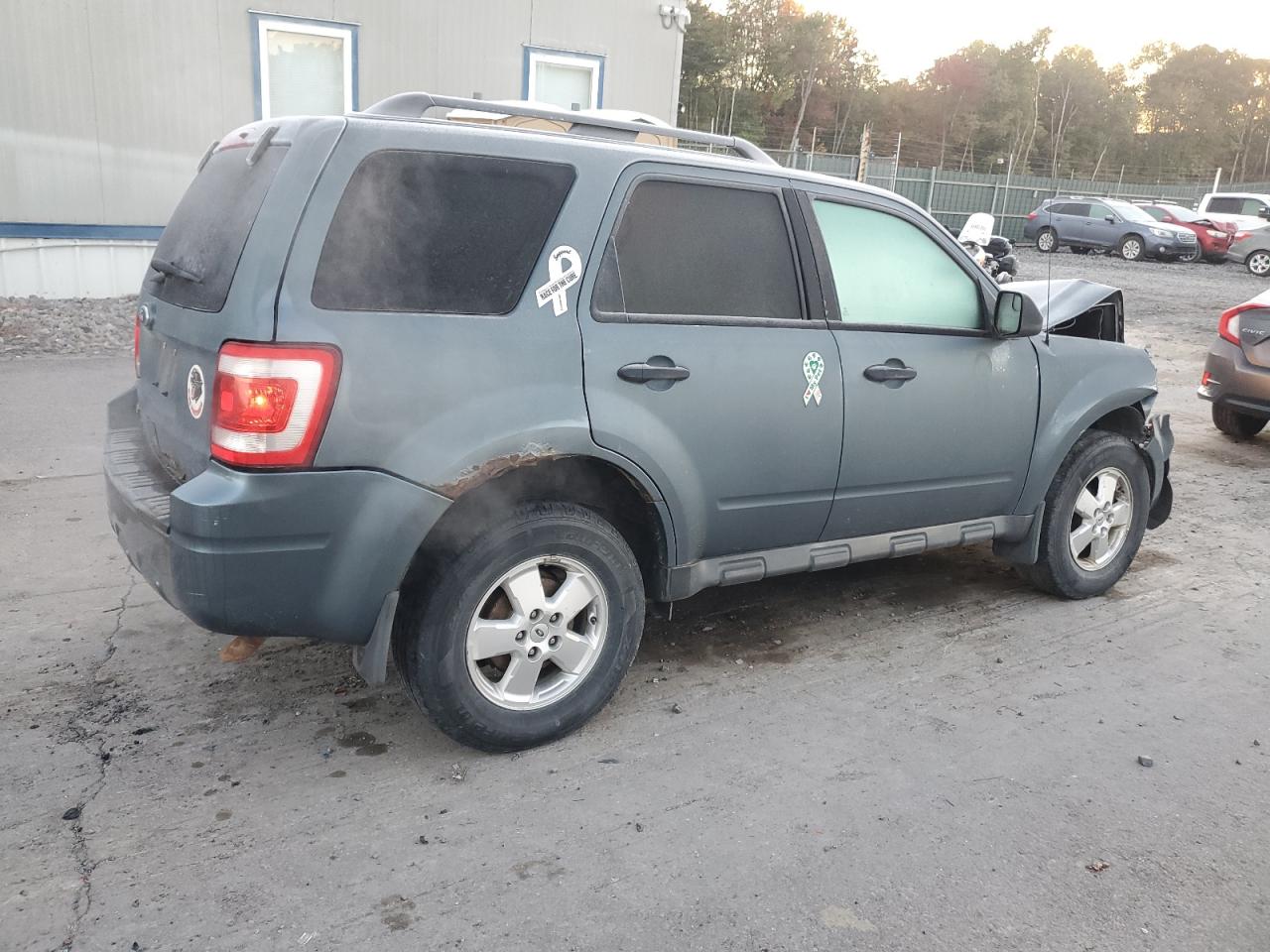 Lot #3316639486 2012 FORD ESCAPE XLT