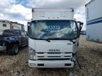 Lot #3294486554 2013 ISUZU NQR