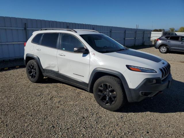 2017 JEEP CHEROKEE TRAILHAWK - 1C4PJMBS8HW538469