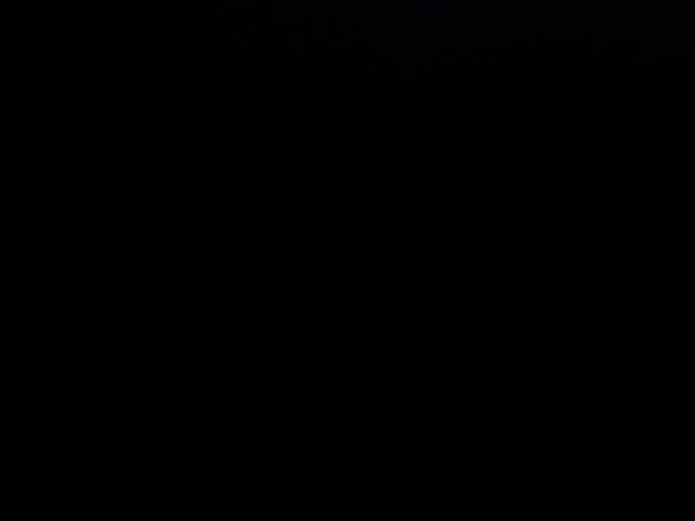 2022 TESLA MODEL Y #3284381059