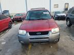 Lot #3303930717 2004 FORD ESCAPE XLT