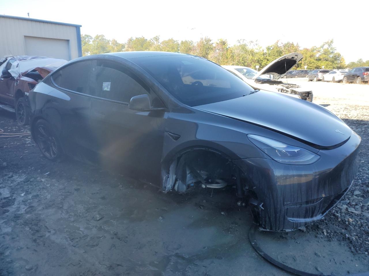 Lot #3316720413 2025 TESLA MODEL Y