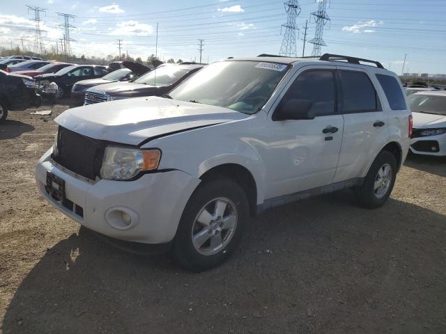 Global Auto Auctions: 2010 FORD ESCAPE XLT