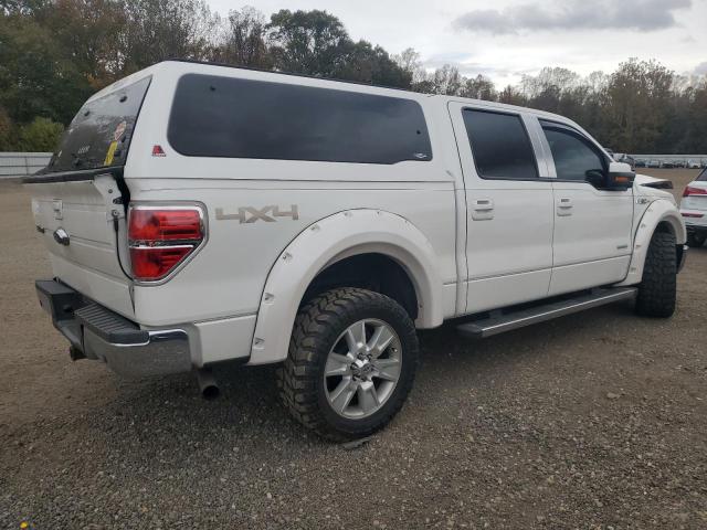 2013 FORD F150 LARIA #3290200218
