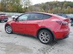 Lot #3303880717 2023 TESLA MODEL Y
