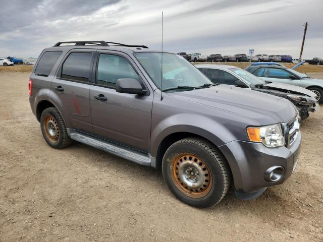 2010 FORD ESCAPE XLT - 1FMCU9DG4AKD28973