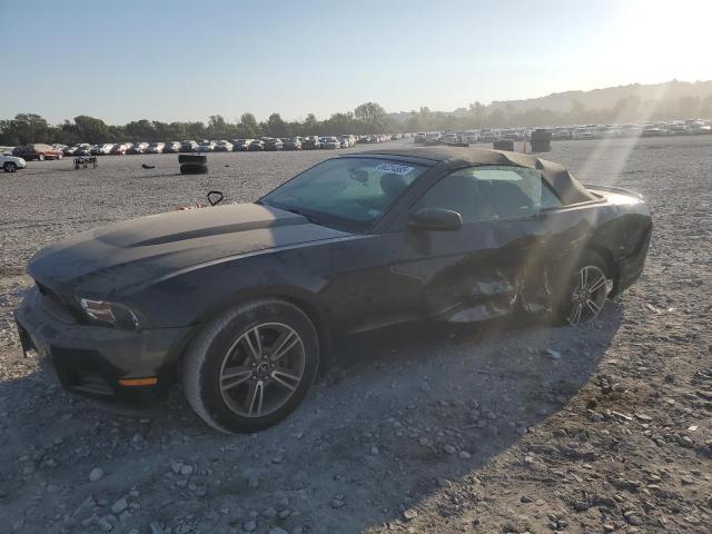 Global Auto Auctions: 2010 FORD MUSTANG