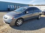 Lot #3315846167 2010 HONDA CIVIC LX