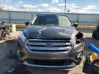 Lot #3318846831 2019 FORD ESCAPE SE