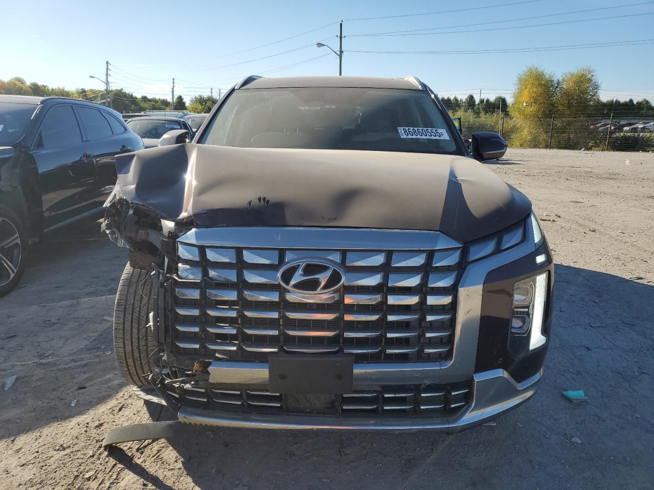 HYUNDAI PALISADE CALLIGRAPHY