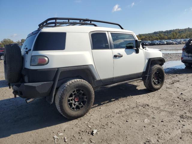 2013 TOYOTA FJ CRUISER - JTEBU4BF6DK169998