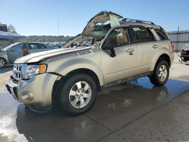 Global Auto Auctions: 2012 FORD ESCAPE LIM