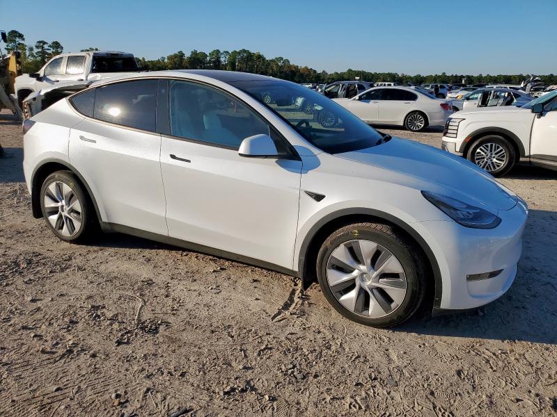 2023 TESLA MODEL Y #3304817542