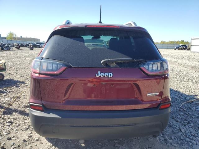 2019 JEEP CHEROKEE L 1C4PJLCB3KD178295