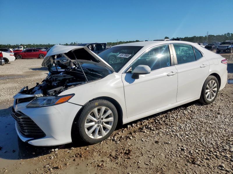Global Auto Auctions: 2019 TOYOTA CAMRY L