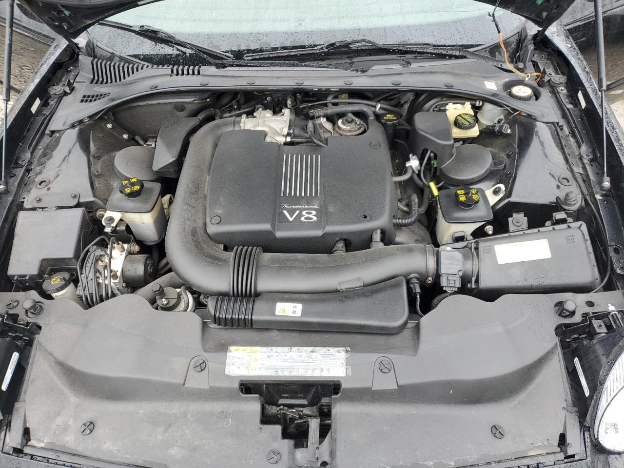 Lot #3285645275 2002 FORD THUNDERBIR