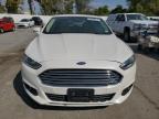 Lot #3294404512 2016 FORD FUSION SE