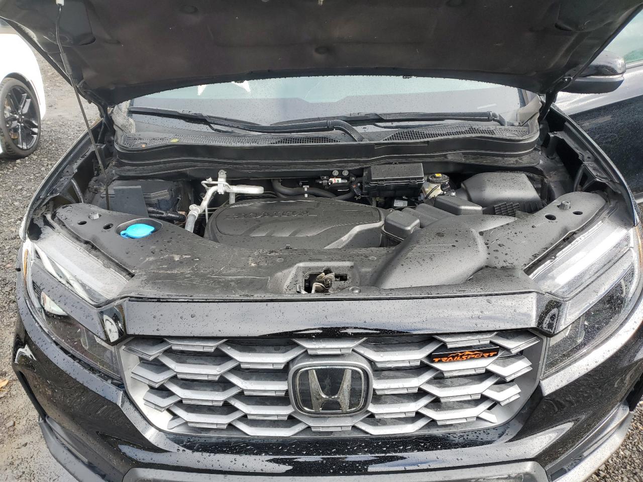 HONDA PASSPORT TRAIL SPORT