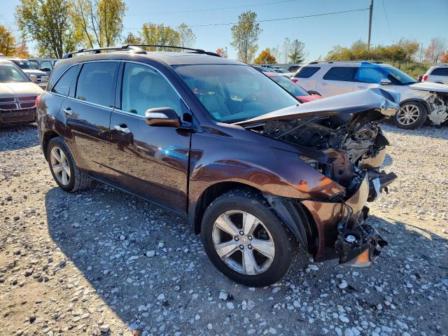 2010 ACURA MDX TECHNO - 2HNYD2H40AH512892