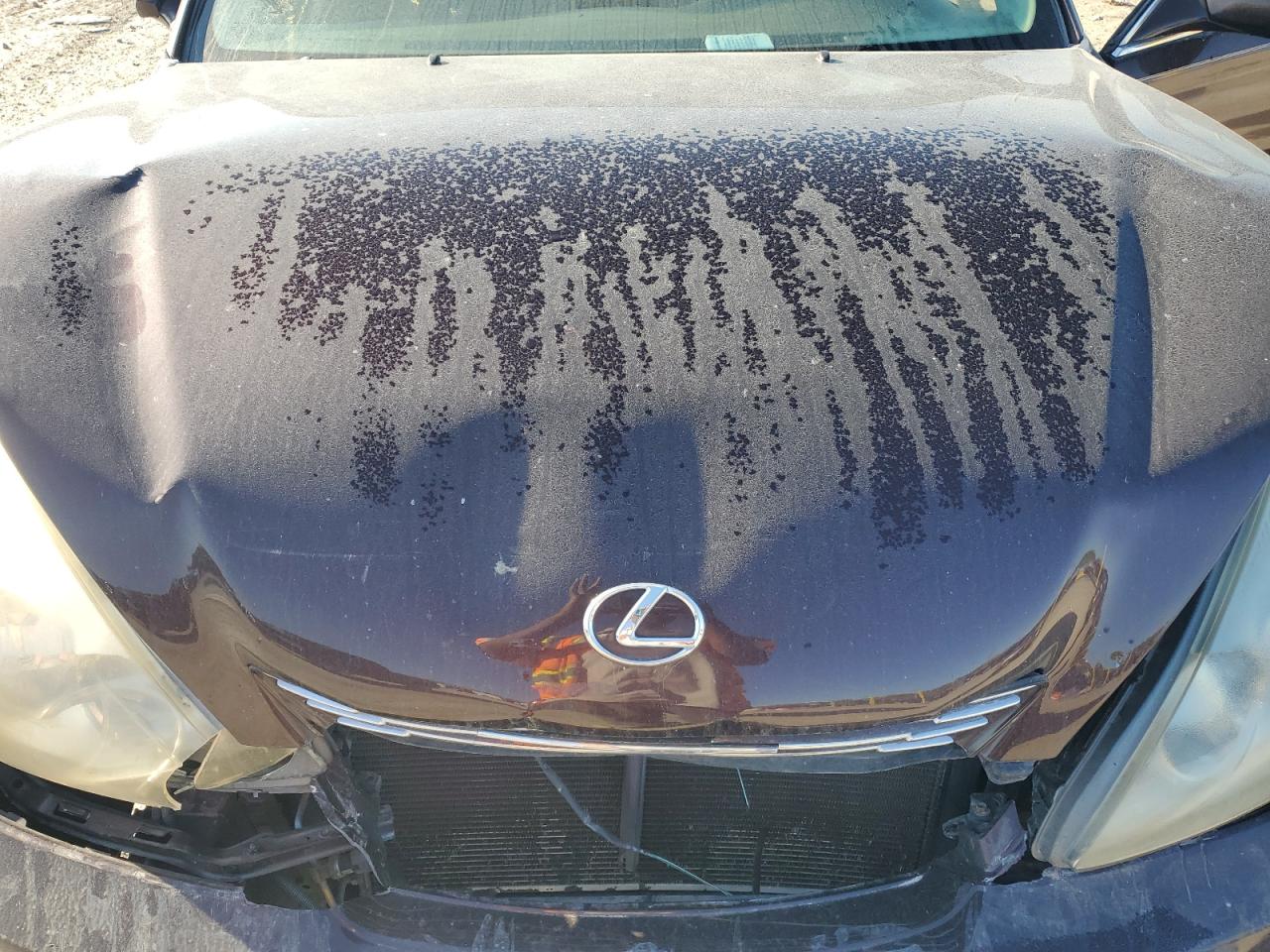 Lot #3269012055 2002 LEXUS ES 300